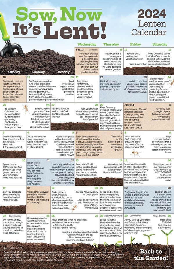 Lent Calendar For Teens And Young Adults (Set of 25)