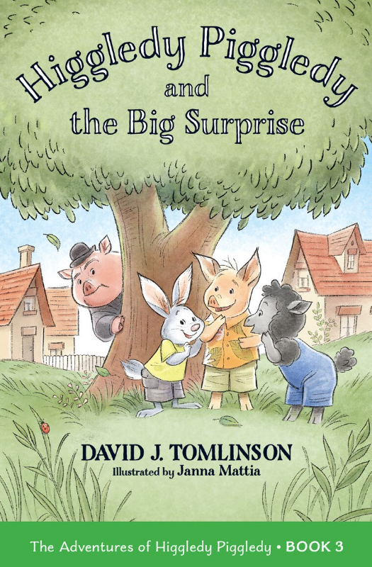 Higgledy Piggledy and the Big Surprise