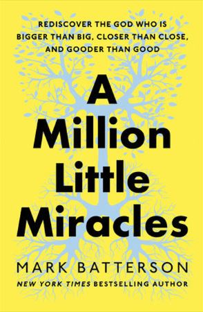 A Million Little Miracles