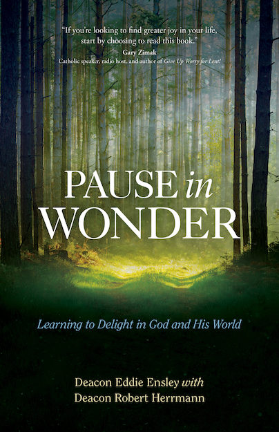 Pause in Wonder