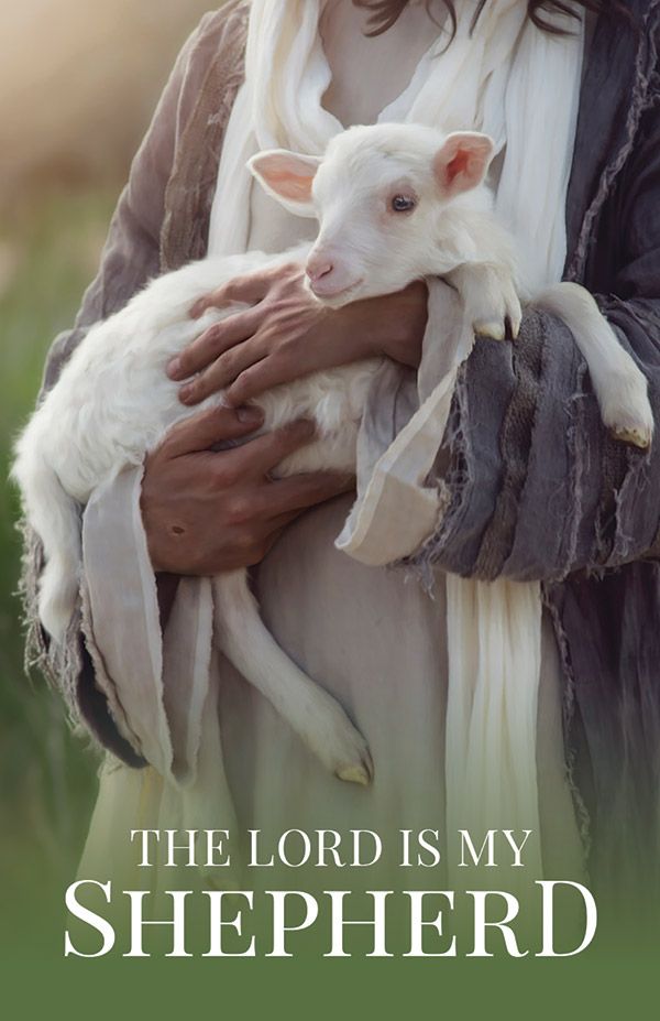 The Lord Is My Shepherd Prayer Card (Set of 50)
