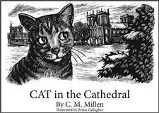 CAT in the Cathedral