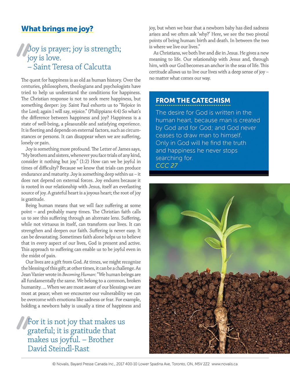 What Catholics Believe | Leaflet 8: Examining the Sacraments of Healing and Service