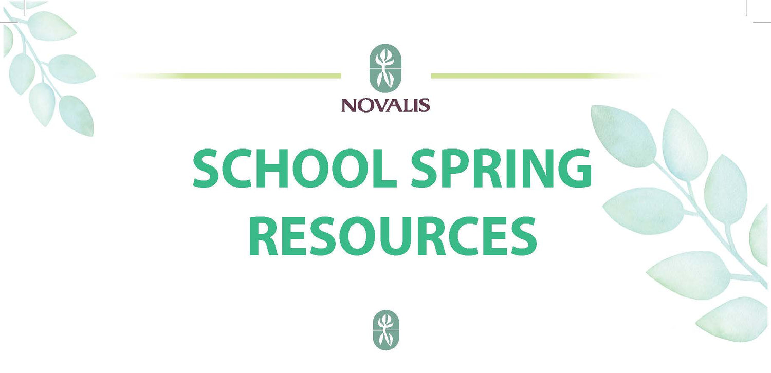 Novalis School Spring