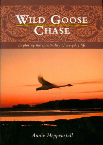 Wild Goose Chase: Exploring the Spirituality of Everyday Life