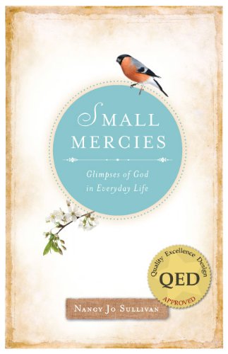 Small Mercies: Glimpses of God in Everyday Life (NONE)