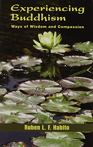 Experiencing Buddhism: Ways Of Wisdom And Compassion (Faith Meets Faith Series)