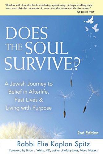 Does the Soul Survive? 2/E: A Jewish Journey to Belief in Afterlife,  Past Lives & Living with Purpose