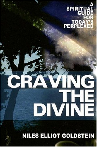 Craving the Divine: A Spiritual Guide for Today's Perplexed