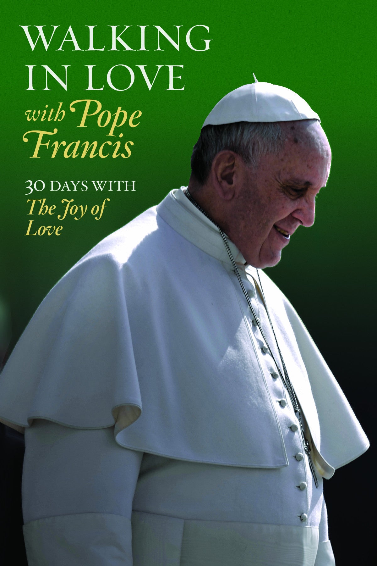 Pope Francis Booklets Set of 10