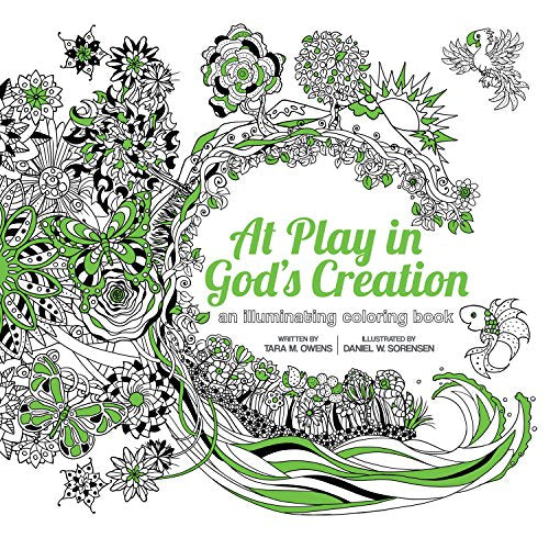 At Play in God's Creation: An Illuminating Coloring Book