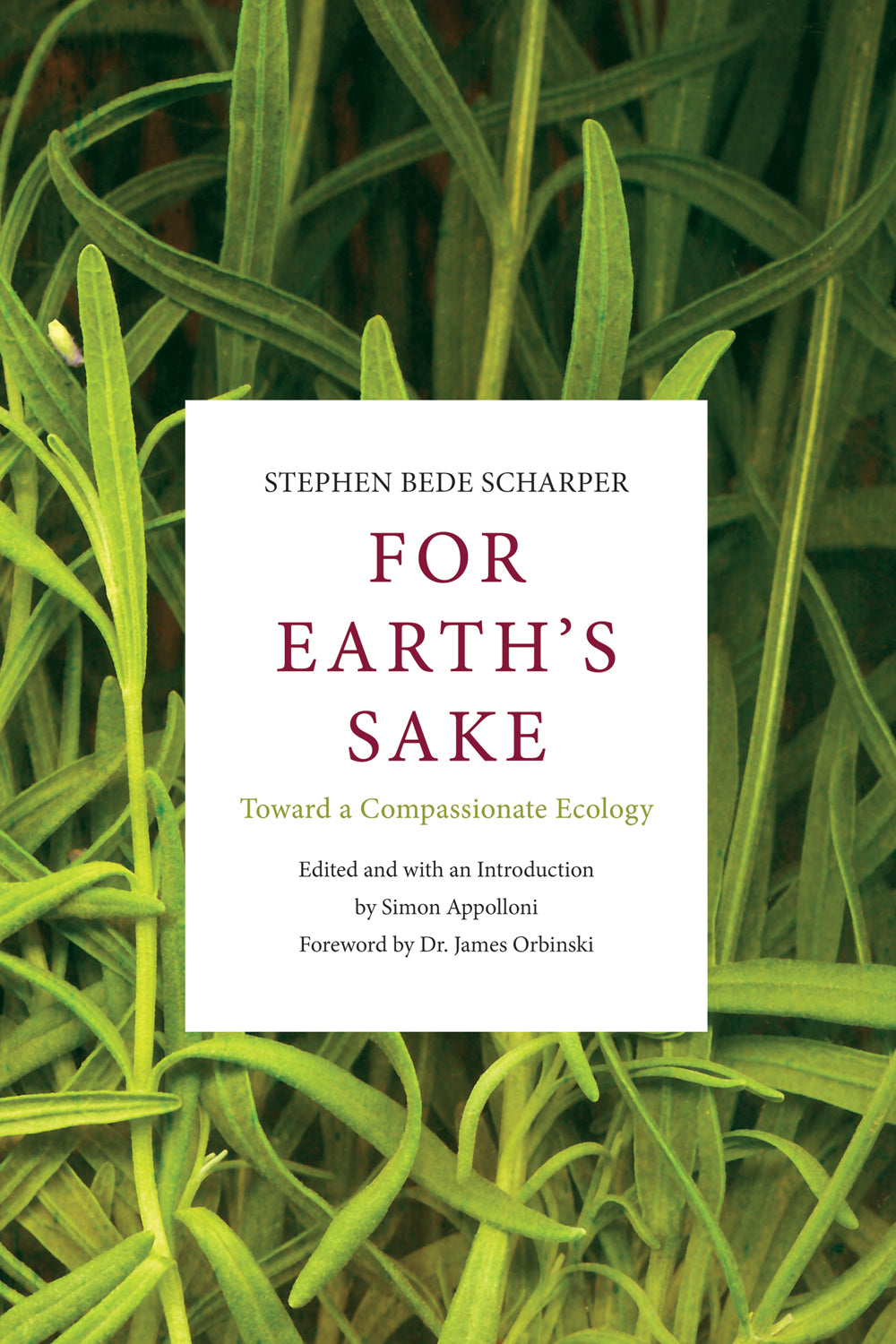 For Earth's Sake (EBOOK VERSION)