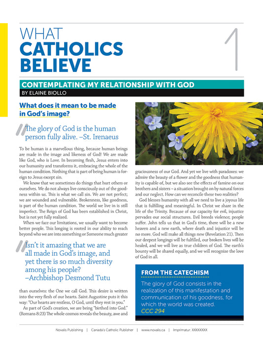 What Catholics Believe Leaflet 1: Contemplating God & Me