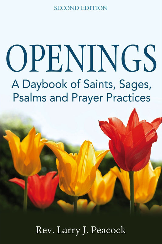 Openings 2/E: A Daybook of Saints, Sages, Psalms and Prayer Practices