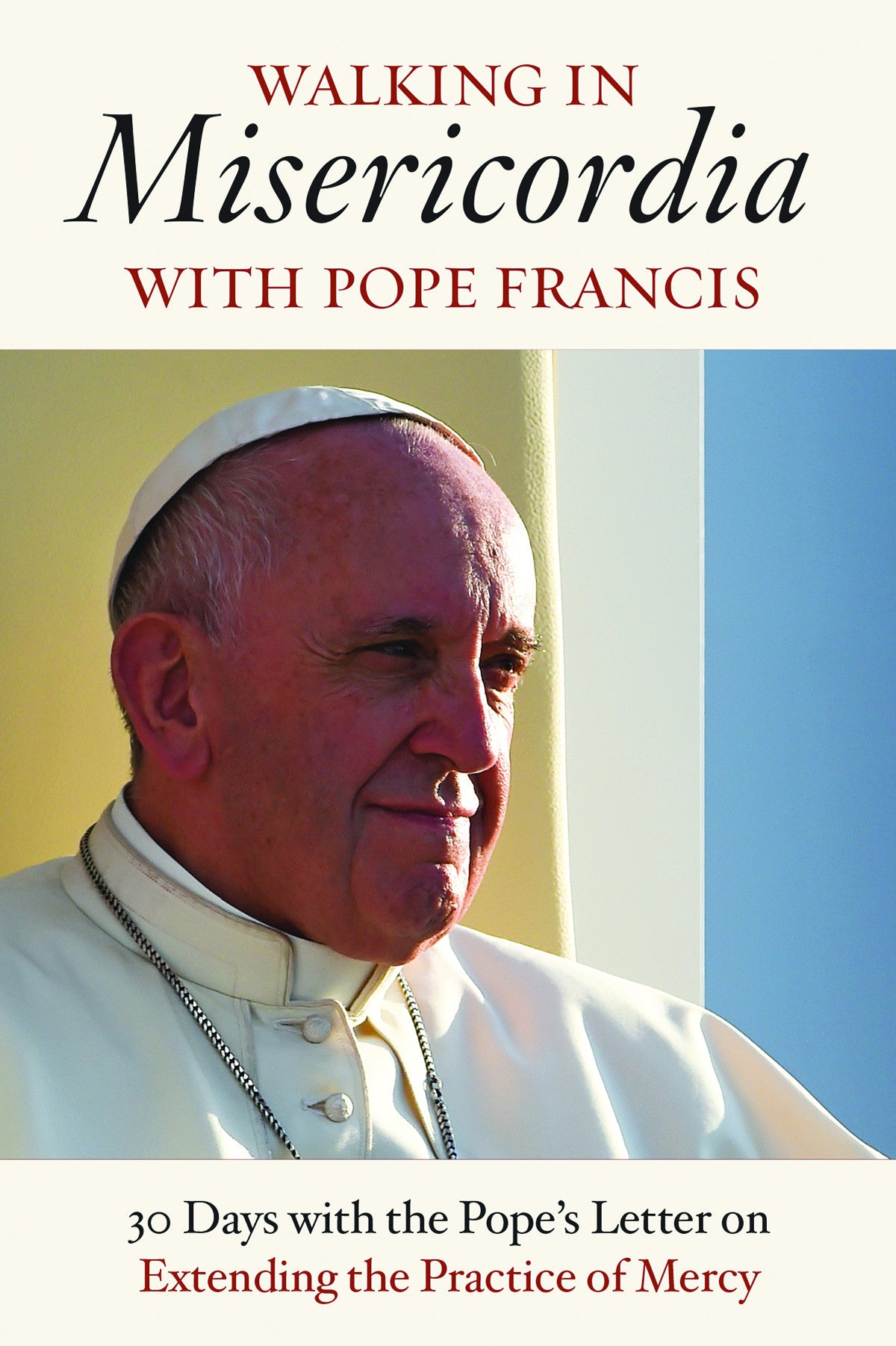 Pope Francis Booklets Set of 10